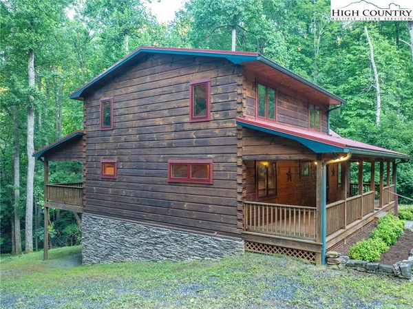 a view of a backyard with plants