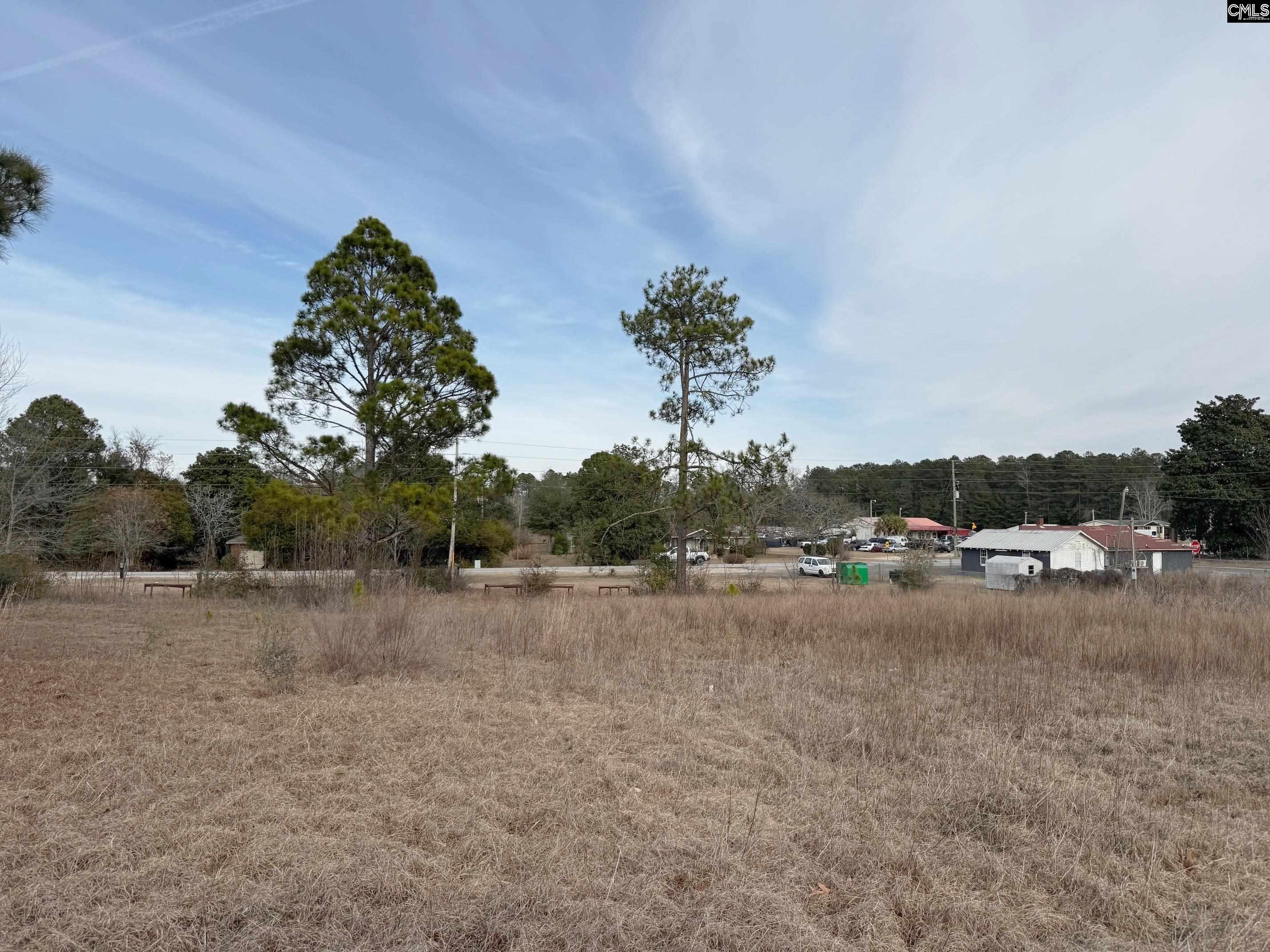 2715 Pond Branch Road Leesville, SC 29070 - Photo 20 of 45