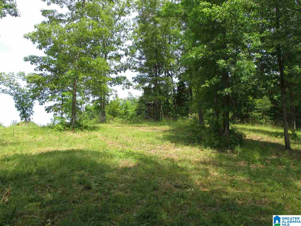 14741 Duck Springs Road Attalla, AL 35954 - Photo 22 of 41