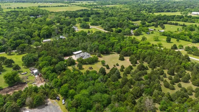a view of a lush green forest with lots of trees
