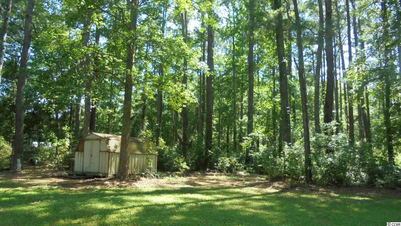 6348 Old Bucksville Road Conway, SC 29527 - Photo 2 of 30 Gallery Image 2