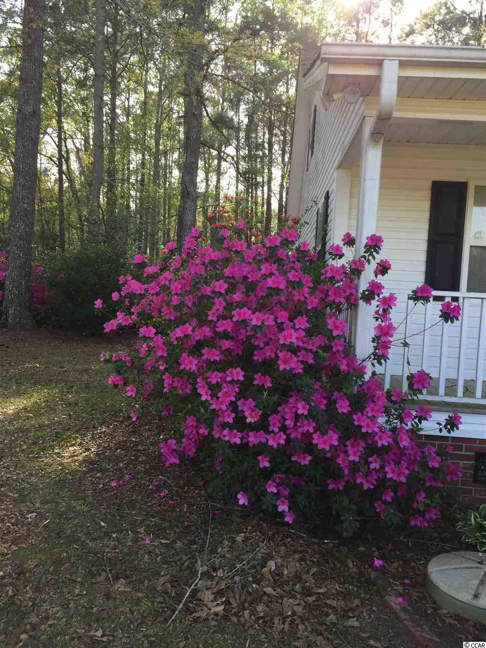 6348 Old Bucksville Road Conway, SC 29527 - Photo 28 of 30 Gallery Image 28