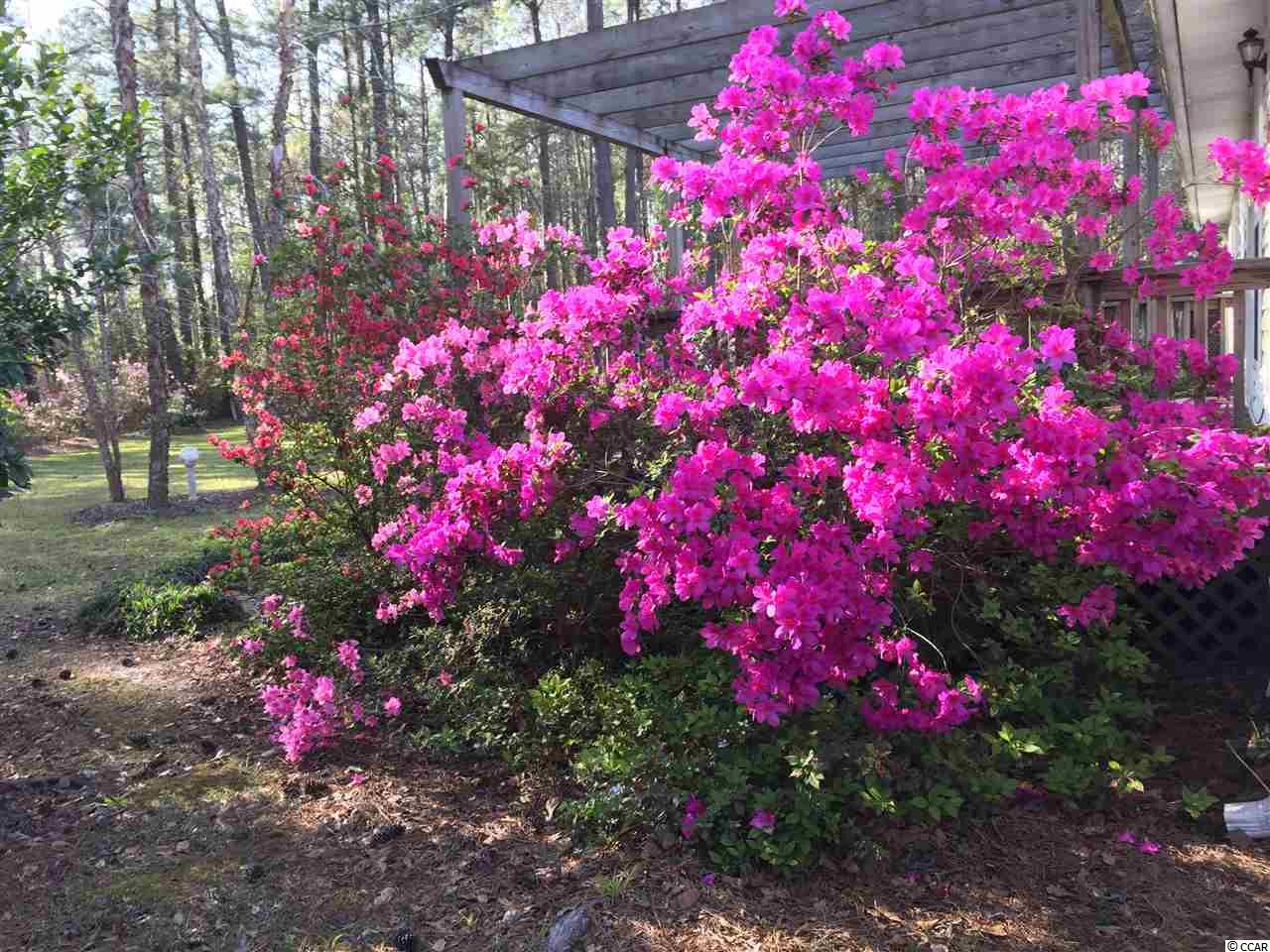 6348 Old Bucksville Road Conway, SC 29527 - Photo 30 of 30 Gallery Image 30
