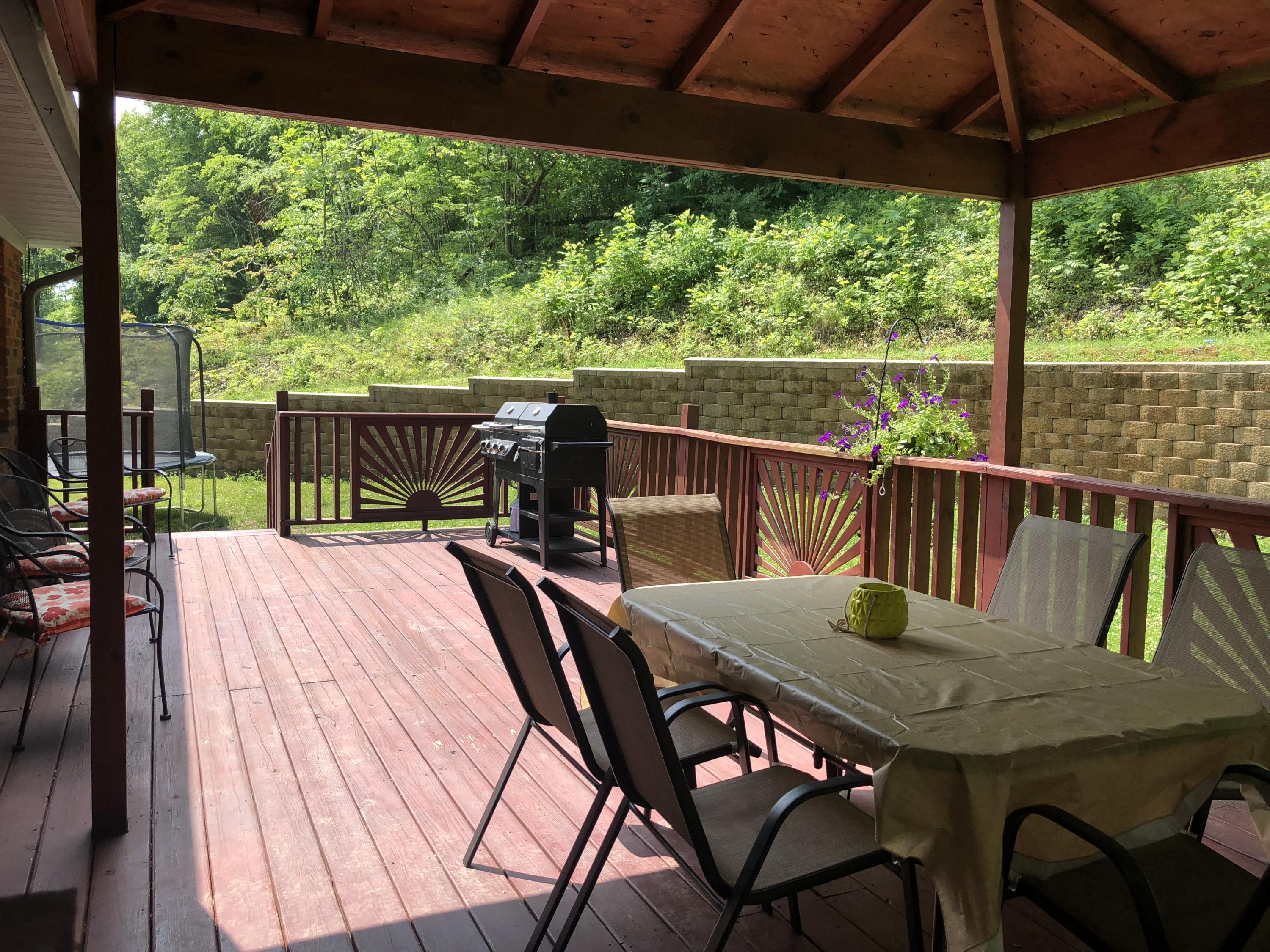 9913 Elkins Road Heiskell, TN 37754 - Photo 25 of 27 back porch