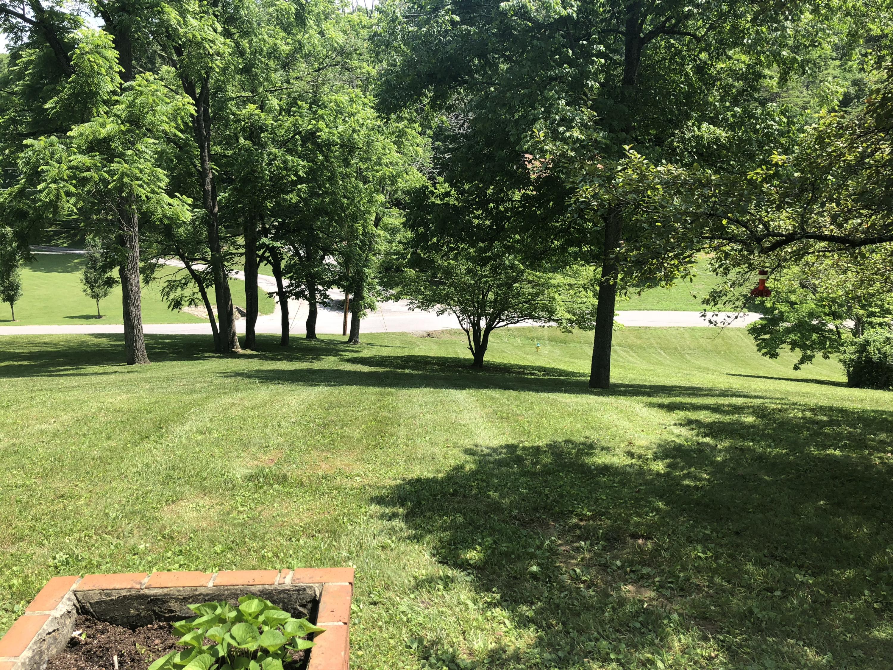 9913 Elkins Road Heiskell, TN 37754 - Photo 5 of 27 front yard