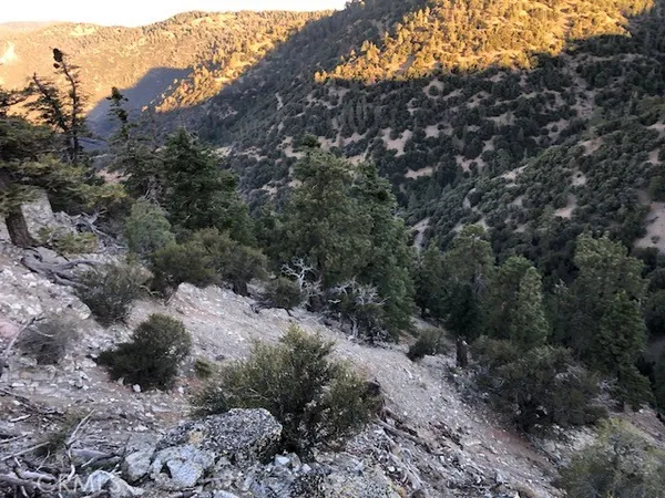$195,000 | 0 West Side Of Double Mountain, Tehachapi, CA 93561
