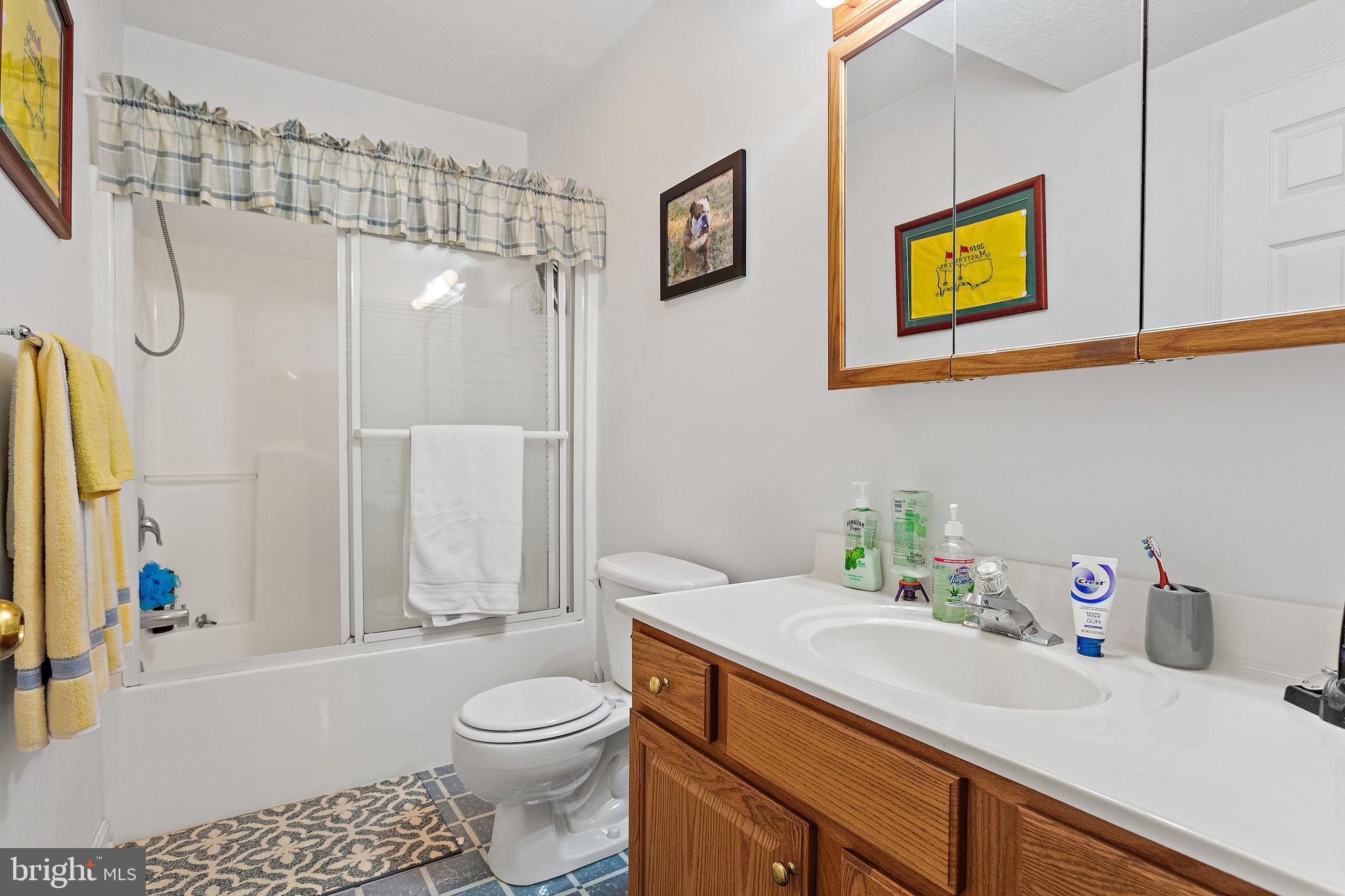 293 Huntersridge Road Winchester, VA 22602 - Photo 41 of 55 Full Bathroom in Basement