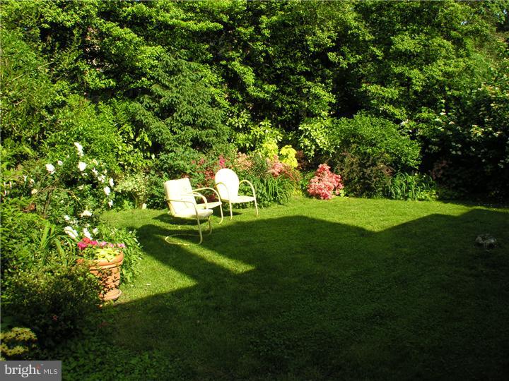 239 Chestnut Street Haddonfield, NJ 08033 - Photo 14 of 15 Gallery Image 14