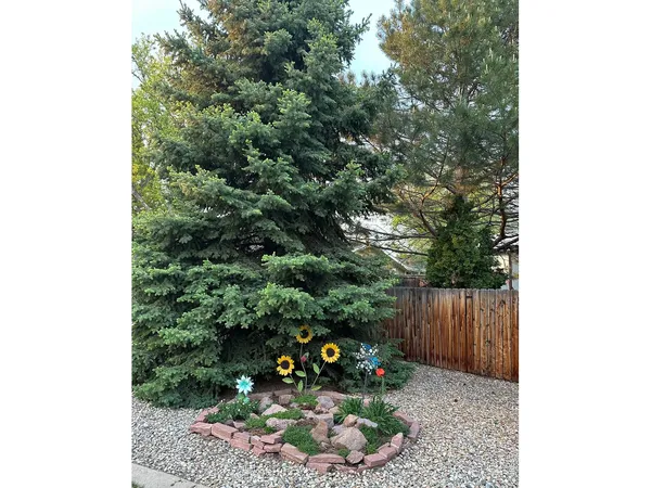 a view of a backyard