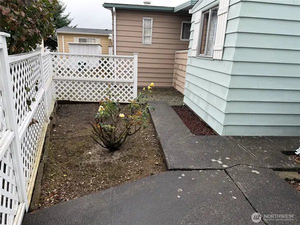 a view of a backyard