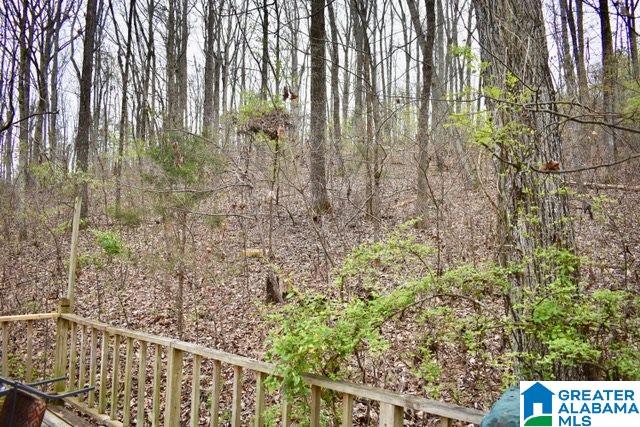 164 Stoney Way Alexandria, AL 36250 - Photo 30 of 33
