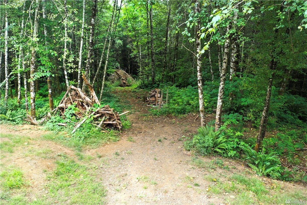14 Strawberry Hill Road Elma, WA 98541 - Photo 20 of 20 Gallery Image 20