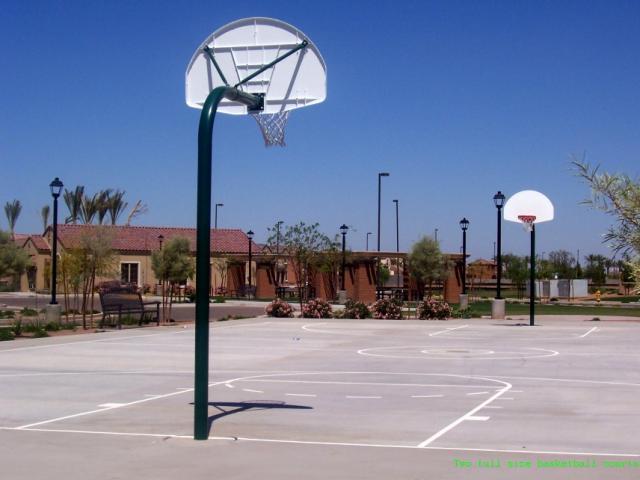 3554 East Tyson Street Gilbert, AZ 85295 - Photo 5 of 5 Basket ball