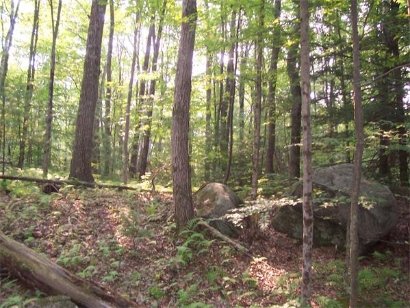 Lot C Templeton Road Phillipston, MA 01331 - Photo 1 of 3 Gallery Image 1