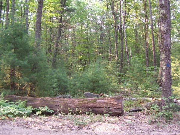 Lot C Templeton Road Phillipston, MA 01331 - Photo 2 of 3 Gallery Image 2