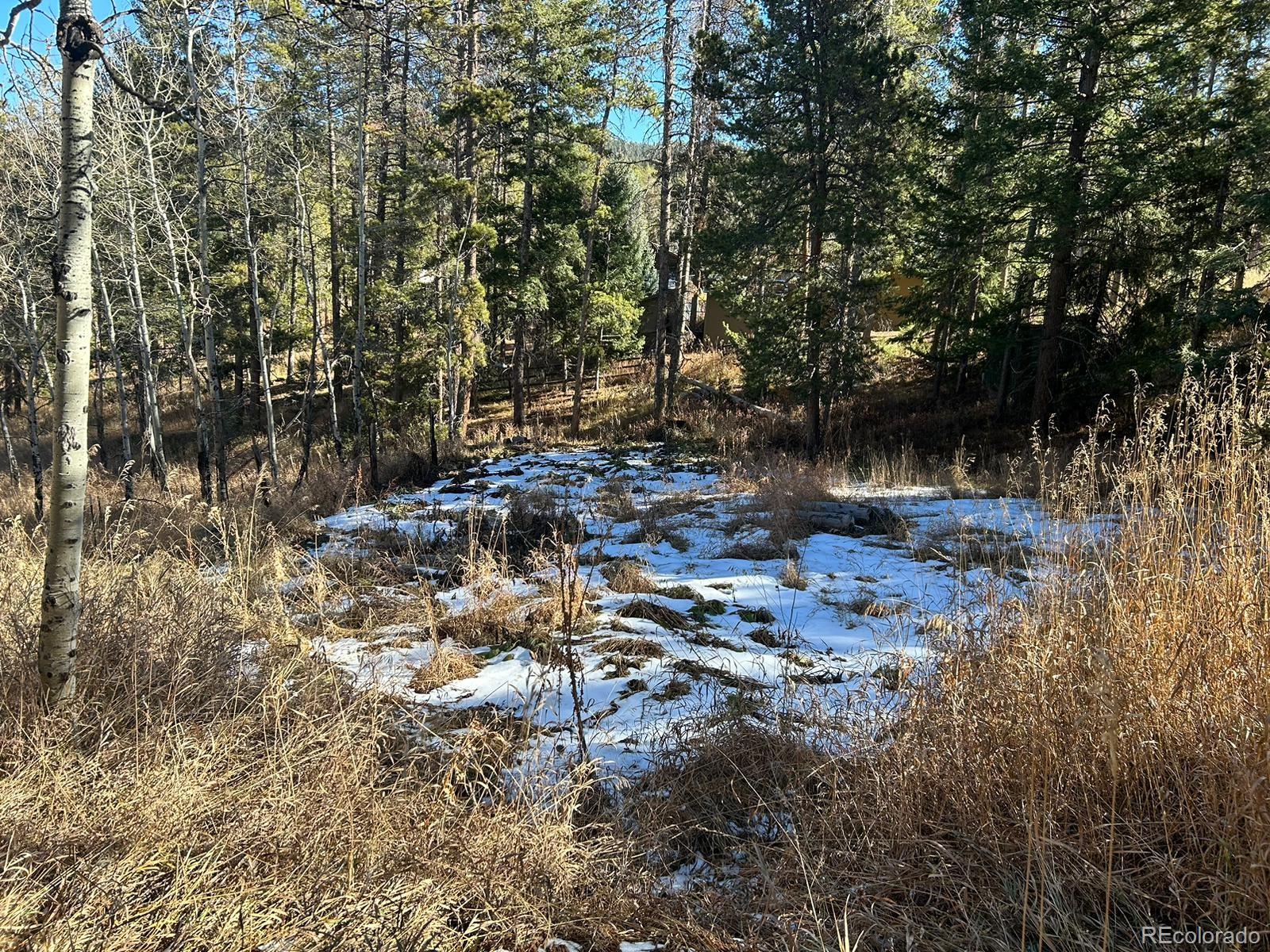 10881 Kitty Drive Conifer, CO 80433 - Photo 14 of 29 a view of outdoor space with lots of trees