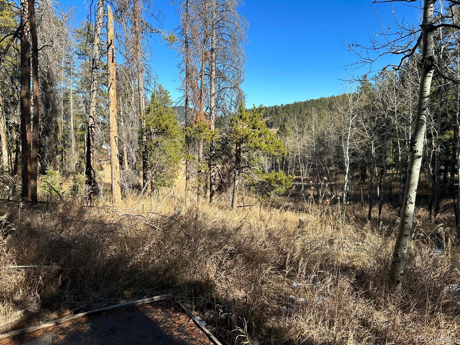 10881 Kitty Drive Conifer, CO 80433 - Photo 18 of 29 a view of outdoor space and garden