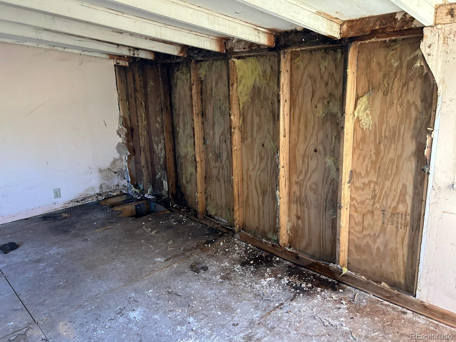 10881 Kitty Drive Conifer, CO 80433 - Photo 23 of 29 a view of a house with wooden walls