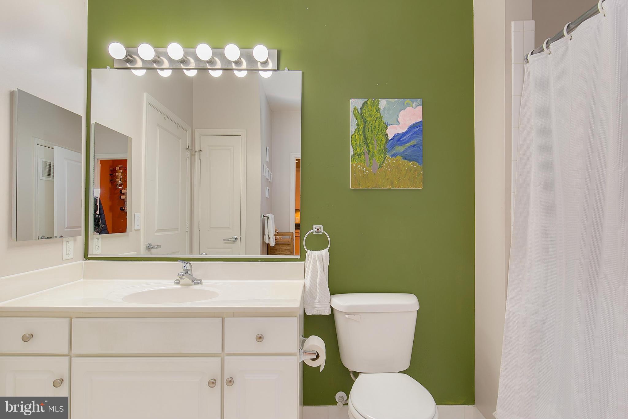 8045 Newell Street, Unit 513 Silver Spring, MD 20910 - Photo 15 of 21 a bathroom with a sink mirror and toilet