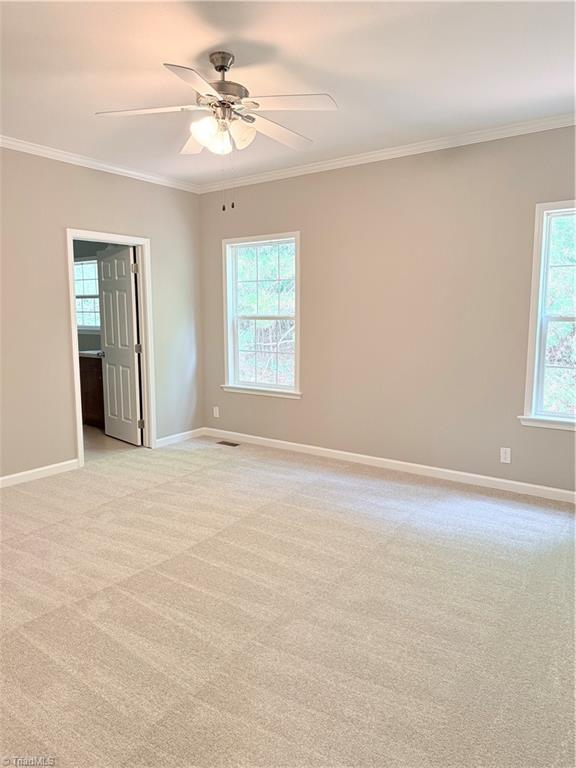 1507 Ridgewood Road Franklinville, NC 27248 - Photo 24 of 49
