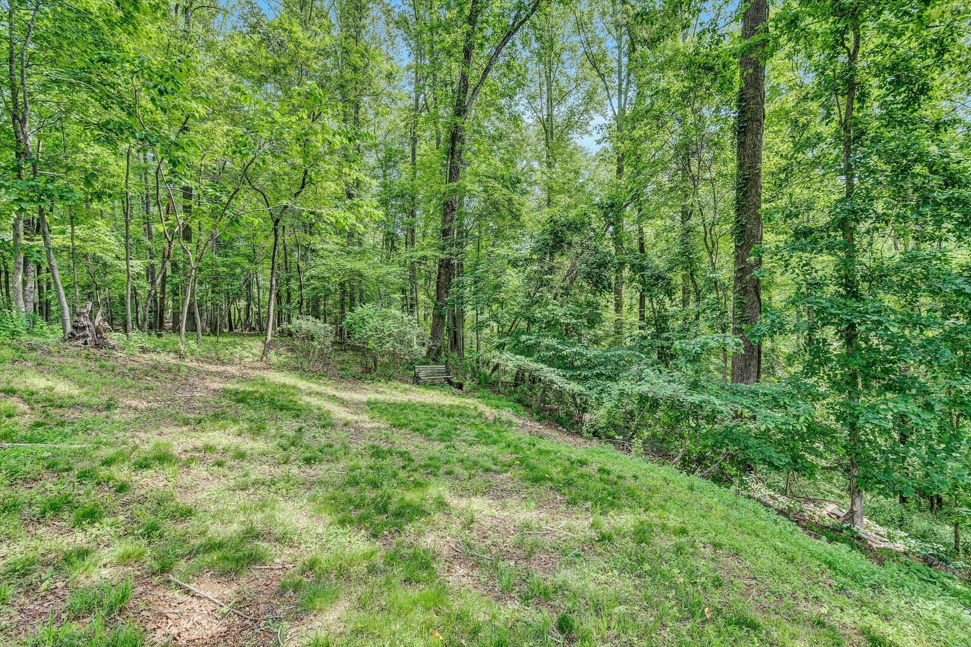 3966 Pitzer Road Roanoke, VA 24014 - Photo 28 of 36 Yard