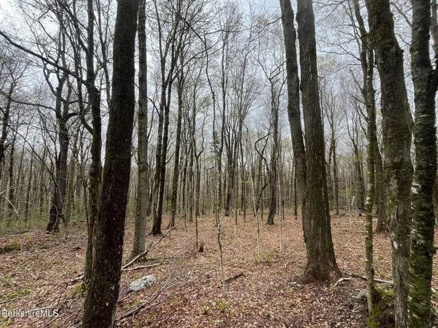 a view of outdoor space with trees