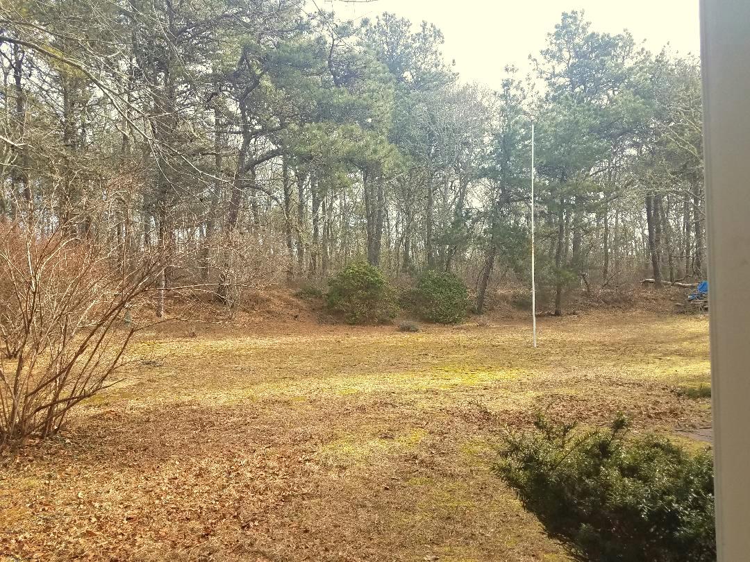 7 Hillside Road Harwich, MA 02645 - Photo 3 of 30 7 hillside looking back yard