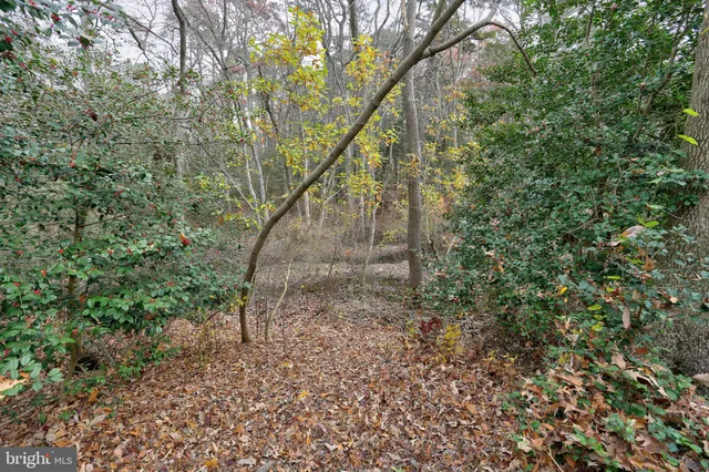 a view of a yard with patio and a slide