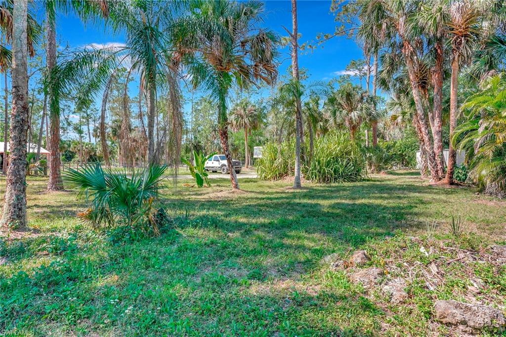 3520 2nd Avenue Northeast Naples, FL 34120 - Photo 32 of 39 a view of garden with trees