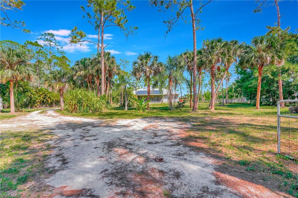 3520 2nd Avenue Northeast Naples, FL 34120 - Photo 37 of 39 a view of a yard with palm trees