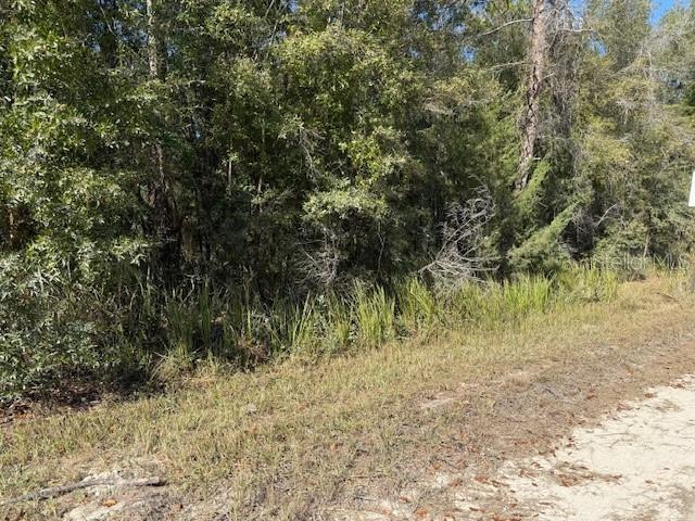 108th Avenue Northeast Bronson, FL 32621 - Photo 2 of 4 a view of forest