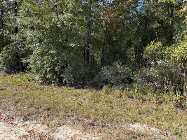 108th Avenue Northeast Bronson, FL 32621 - Photo 4 of 4 a view of a yard