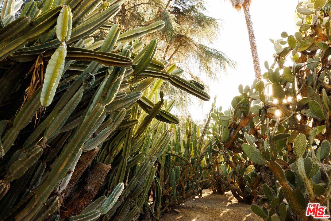 a view of outdoor space