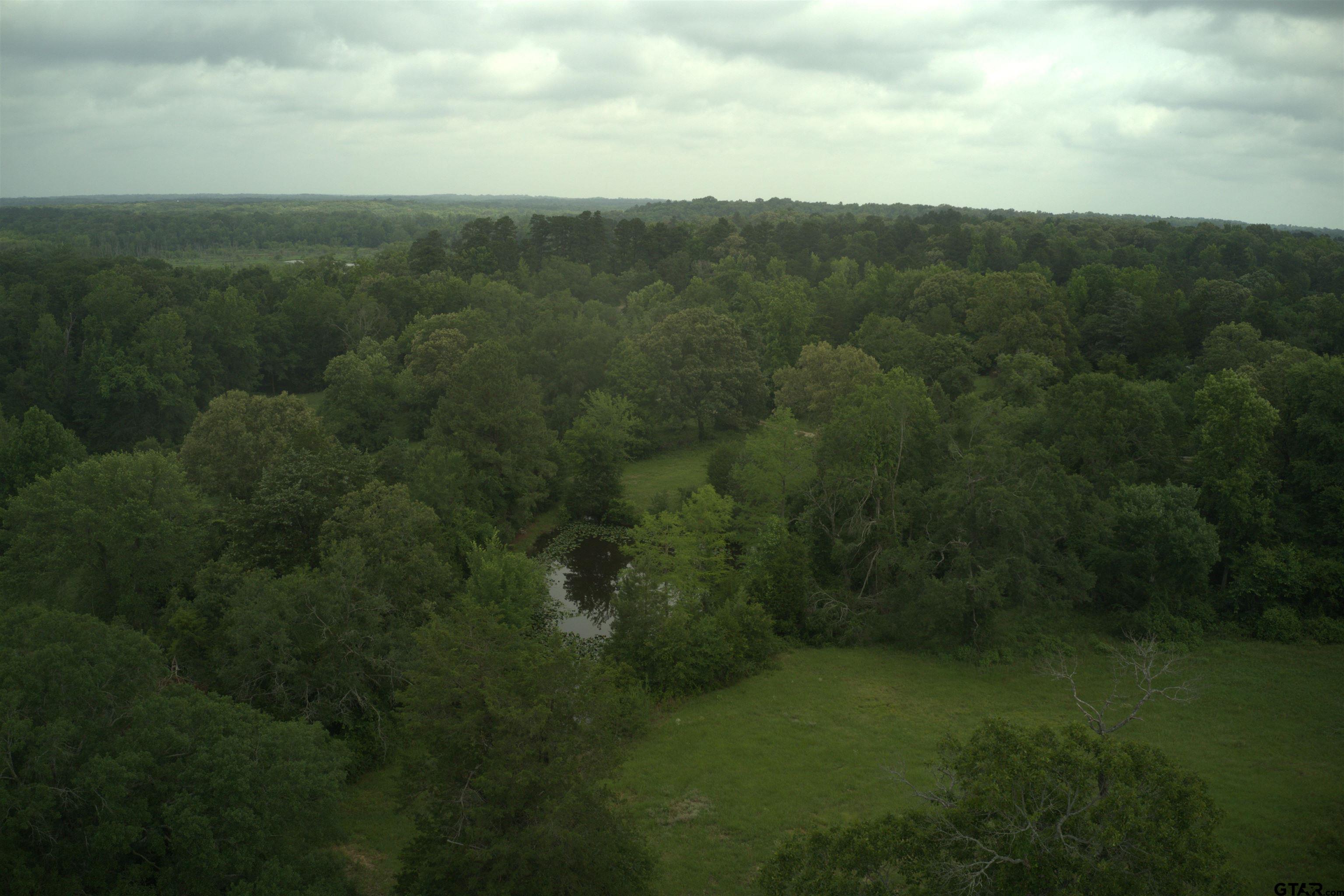 14546 Highway 271 Tyler, TX 75708 - Photo 4 of 11