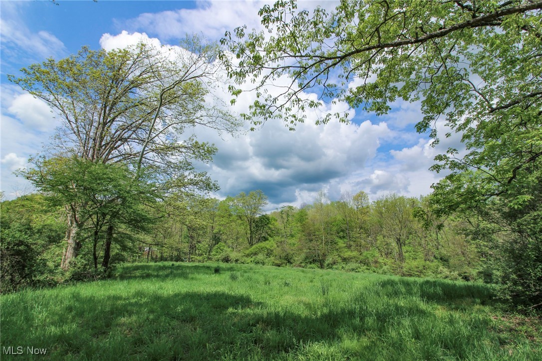 0 Dutch Ridge Road New Straitsville, OH 43766 - Photo 22 of 28 View of wooded area