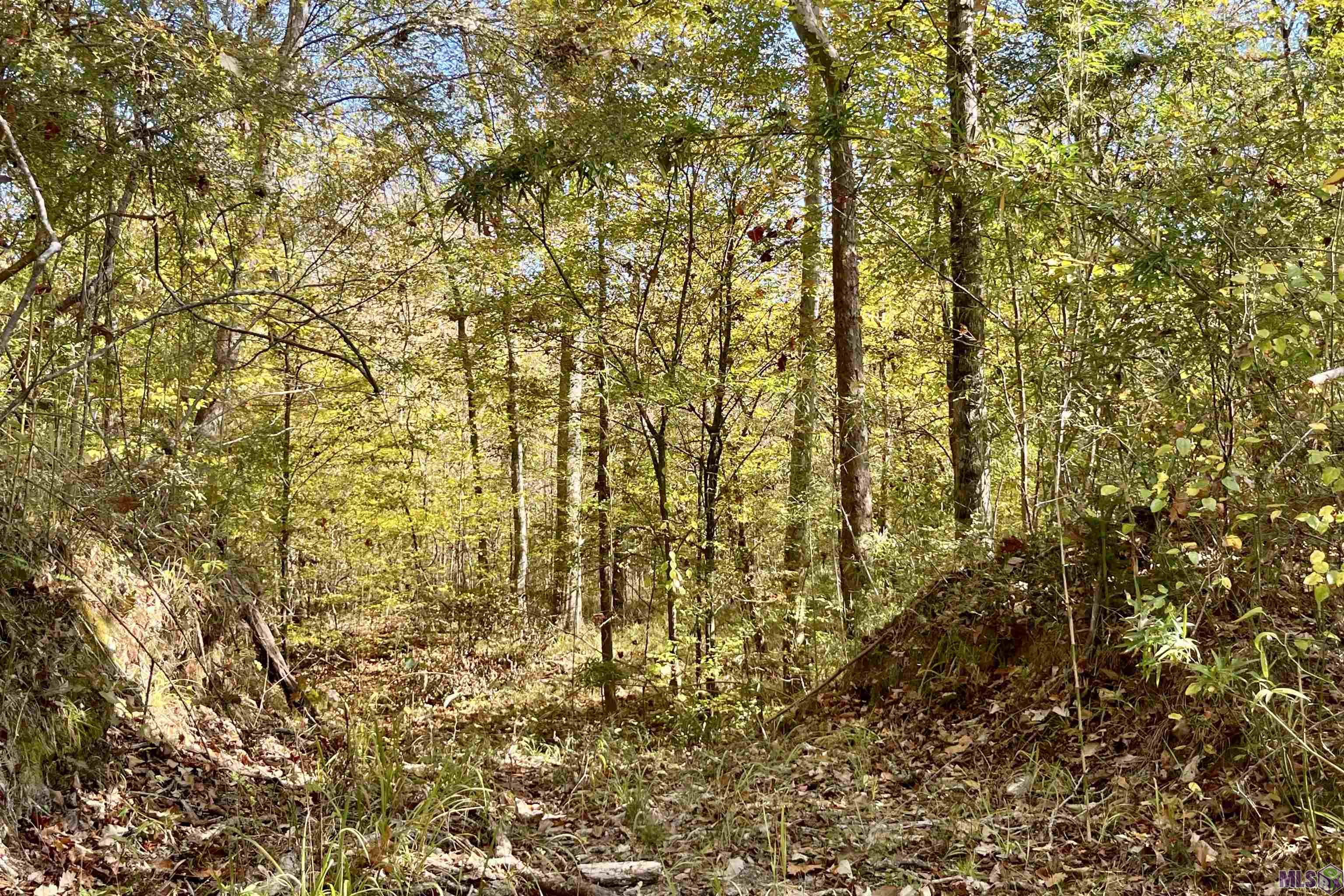 5 Stampley Road Roxie, MS 39661 - Photo 32 of 36