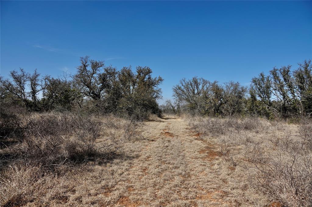 219 C R 550 Mullin, TX 76864 - Photo 11 of 36 a view of a dry yard with trees in the background