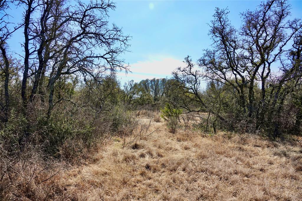 219 C R 550 Mullin, TX 76864 - Photo 12 of 36 a view of a yard with a tree