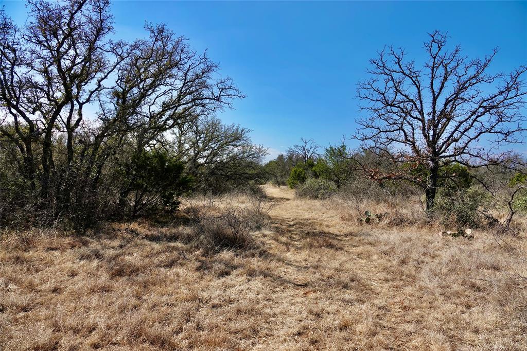 219 C R 550 Mullin, TX 76864 - Photo 13 of 36 a view of a dry yard with trees
