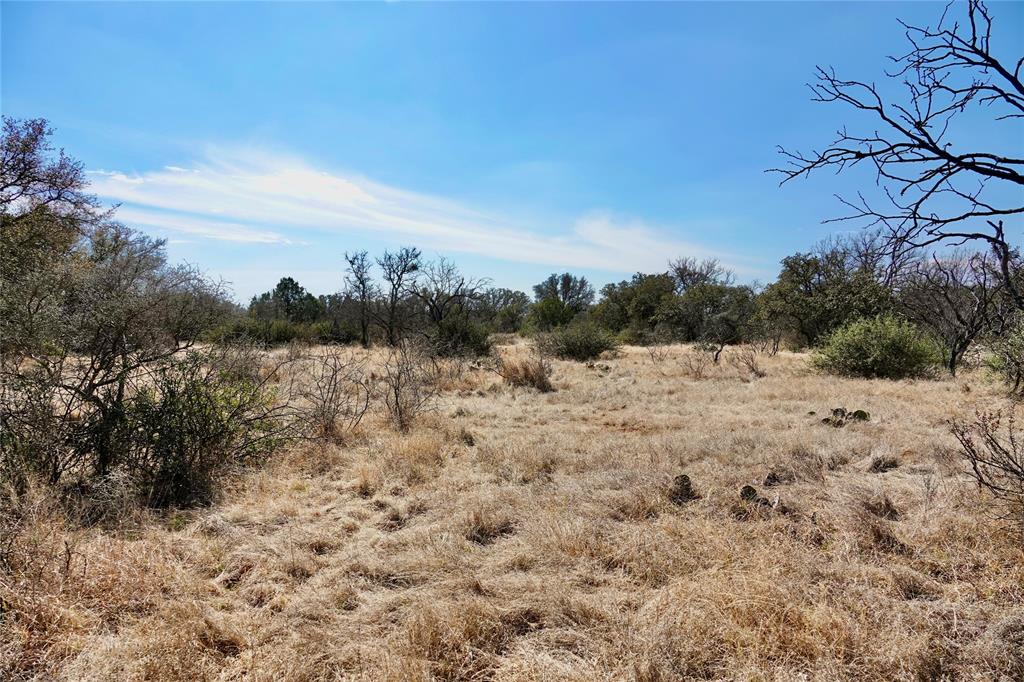 219 C R 550 Mullin, TX 76864 - Photo 14 of 36 a view of a dry yard covered with snow