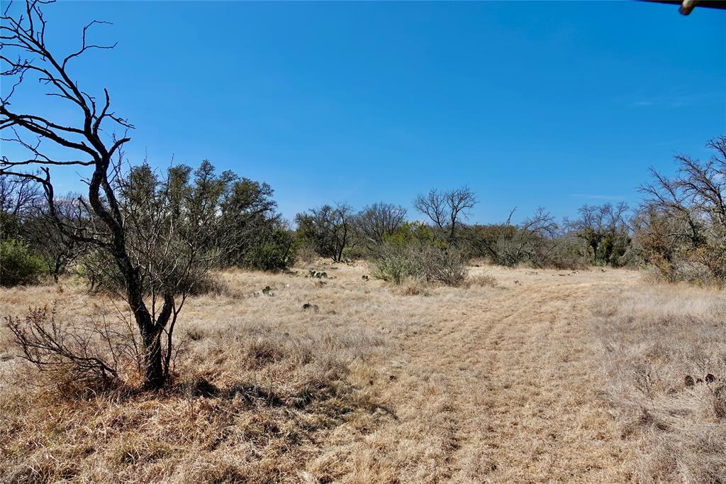 219 C R 550 Mullin, TX 76864 - Photo 15 of 36 a view of a dry yard with trees in the background