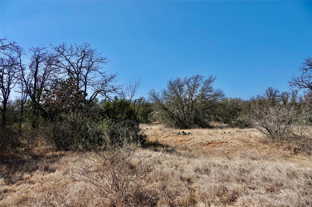 219 C R 550 Mullin, TX 76864 - Photo 16 of 36 a view of a dry yard with trees in the background