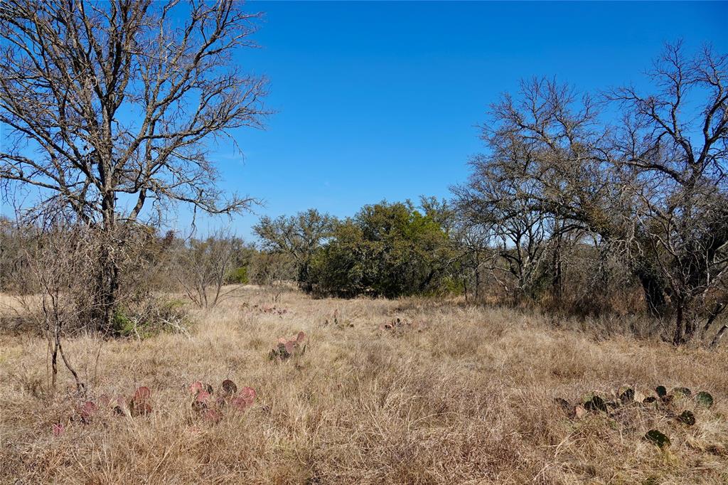 219 C R 550 Mullin, TX 76864 - Photo 19 of 36 a view of a dry yard