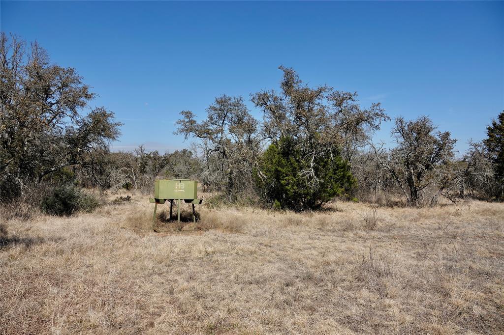 219 C R 550 Mullin, TX 76864 - Photo 20 of 36 a view of a fire pit with large trees
