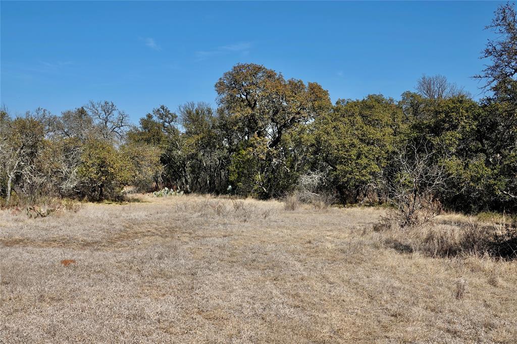 219 C R 550 Mullin, TX 76864 - Photo 21 of 36 a view of a dry yard with trees in the background