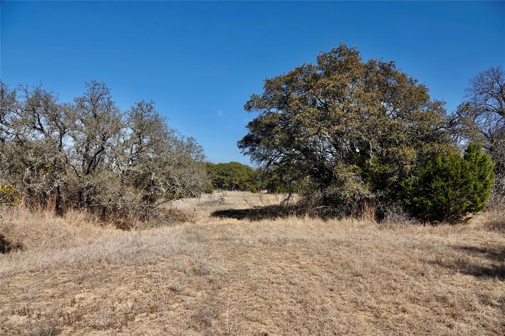 219 C R 550 Mullin, TX 76864 - Photo 22 of 36 a view of a dry yard