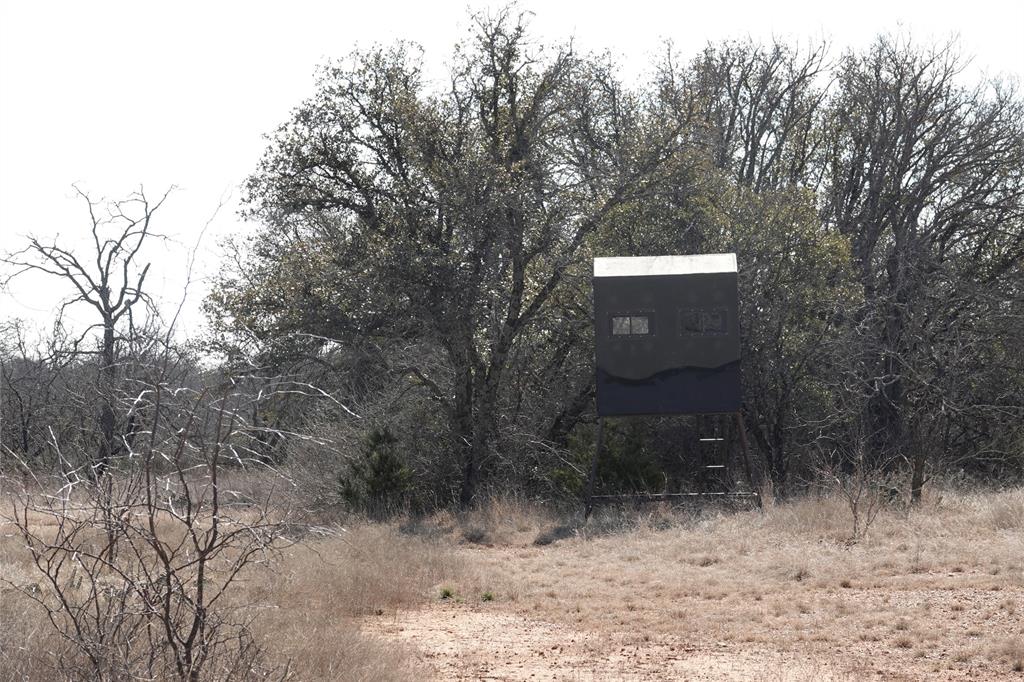 219 C R 550 Mullin, TX 76864 - Photo 24 of 36 a backyard of a house