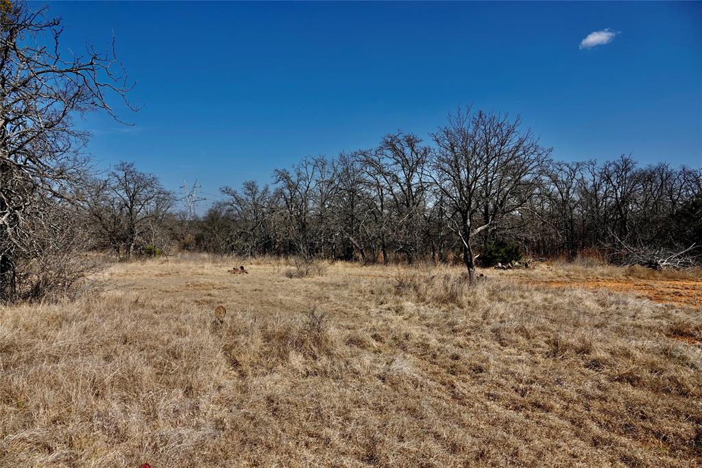219 C R 550 Mullin, TX 76864 - Photo 25 of 36 a view of a field with trees in the background