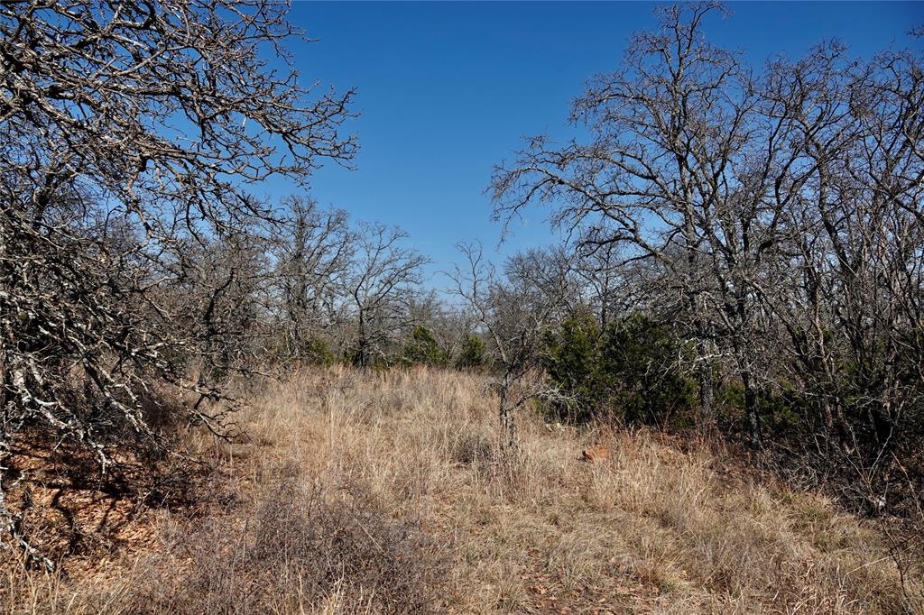 219 C R 550 Mullin, TX 76864 - Photo 26 of 36 a view of a dry yard with trees
