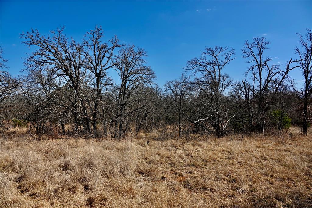 219 C R 550 Mullin, TX 76864 - Photo 27 of 36 a view of a dry yard with trees